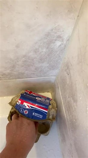 TikTok · Soggy_nugget