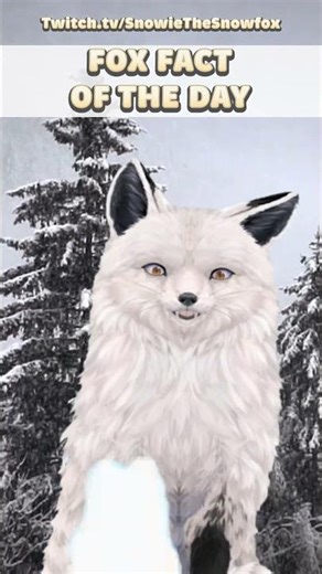 I've learned a new trick - Fox Fact of the Day!