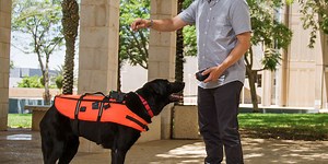 Remote Control Your Dog with a Haptic Vest