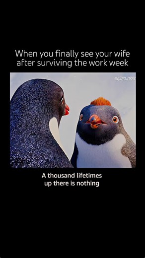 Long distance for five business days 😂 #relationship #shorts #funny #love #viral #robinwilliams