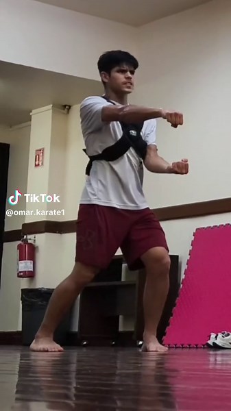 Explore the Art of Karate Kata: Techniques and Styles