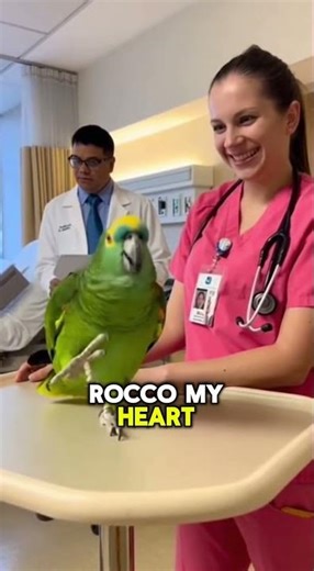 PARROT Accuses Nurse of Theft: "She Stole My Heart!" 🦜❤️😂