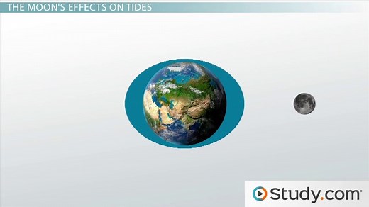 How Gravity, the Moon & the Sun Influence Tides