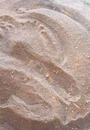 Managing Laundry Overload Efficiently