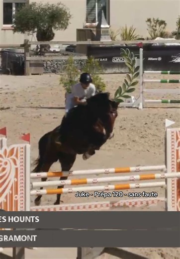 Mors en caoutchouc et sans muserole — performance et confort du cheval