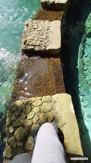 Experience Banyan Springs Resort in Tabogon. 🍃 | Sugbo-Byahe