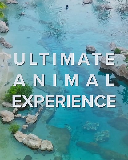 9.6K views · 82 reactions | Discover the ALL-NEW Ultimate Animal...