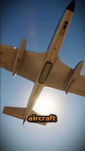 Area 51: The Truth They Never Told You