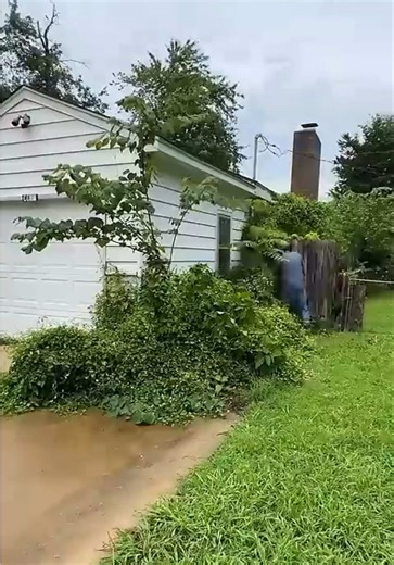 Ultimate Cleaning & Lawn Care ASMR Experience