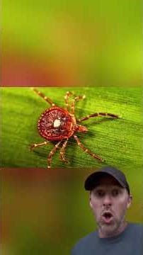 Ticks Are Causing a MEAT ALLERGY Explosion 😱 Alpha-Gal Warning!