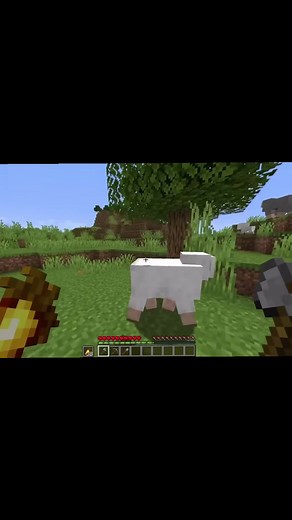 Minecraft Custom Totems Challenge: Part 2 Gameplay