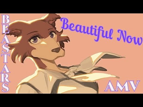 Beautiful Now/ AMV / BEASTARS / Juno & Legosi