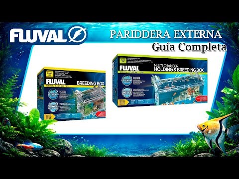 Fluval External Breeding Box: A Complete Guide for Aquarists @fluval