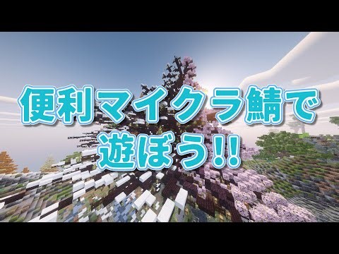 〚マイクラ参加型〛便利機能が盛りだくさん！？ 木こり＆鉱石一括破壊 超鯖 #マイクラ参加可能 #マイクラクロスプレイ #マイクラ参加型