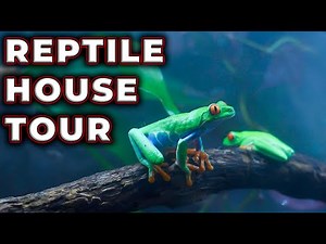Reptile House Tour | All The Pets I NEVER SHOW YOU!