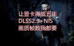 让显卡再战五年,DLSS2.3 NIS画质和帧数我都要