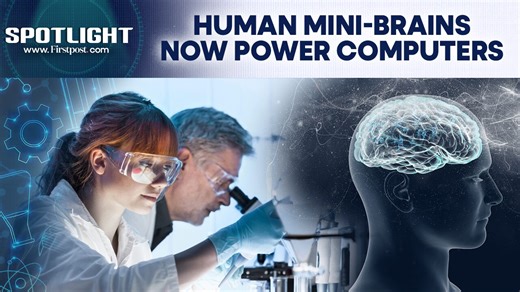 #FirstpostSpotlight: Scientists in Switzerland are growing tiny human...