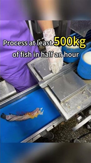 Snakehead processing factory-Fish Fillet Machine