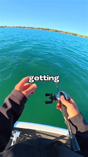 Spin the Wheel CATCH the Fish 🐟🎣 #fishing #fishingvideos | DryflyOutdoors
