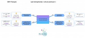 Les homophones « ont,on,sont,son » : leçon et exercices CM1