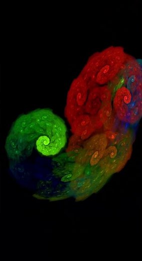 Dynamic Fractal Animations Collage | Cool Colorful 3D Morphing Landscapes