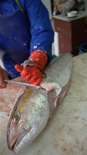 Big Fish Filleting Technique Used by Seafood Experts
