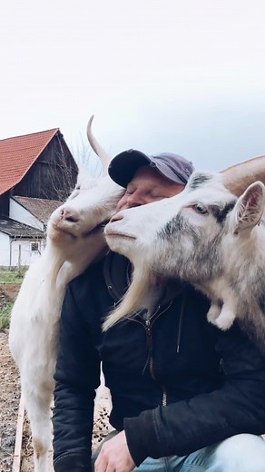 Joar Berge (@moustache_farmer)’s videos with vertigo - insensible & énouement