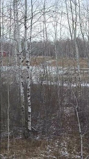 First day of rifle season. Deer hunting