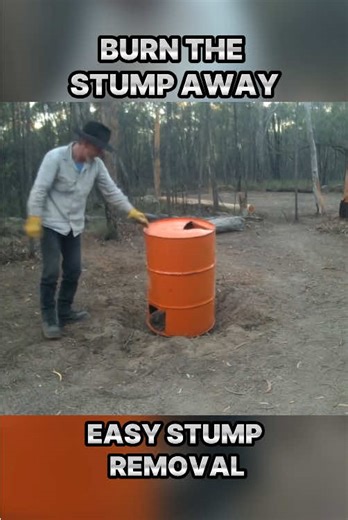 Effective Tree Stump Removal Using a Burner
