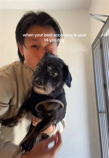 Best Accessory: My 14-Year-Old Dog