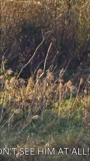 Biggest Hunting FAIL EVER Caught on Camera!?!?