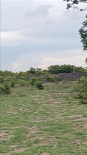 Eneo la sqm 7,000.Lipo Bunju Beach. Mita 100 toka kwenye lami. Tsh 700m.Piga 0679647736