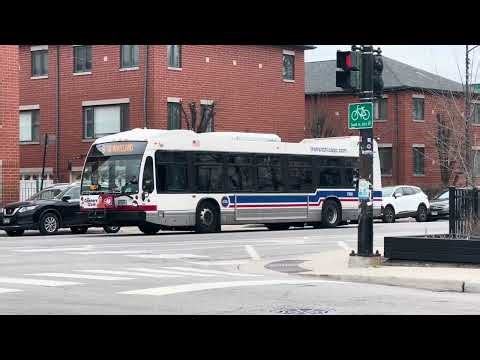 CTA 2014 NovaBus LFS (7990) on Route 8 Halsted to Waveland/Broadway