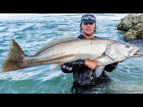 Monster Jewfish Beach Camping (Part 1)