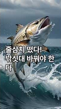 #방파제 루어낚시 #줄삼치낚시#가다랑어 #심곡항방파제