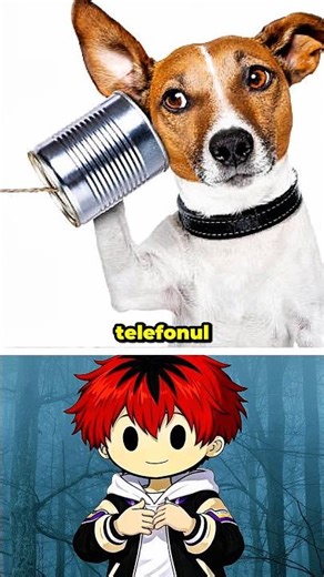 Only dogs can hear this sound (Alec is playing)