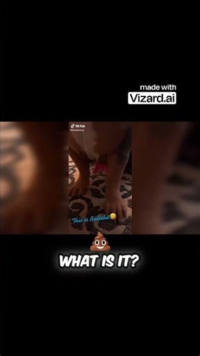 Dog Reacts to Awkward Small Talk Questions