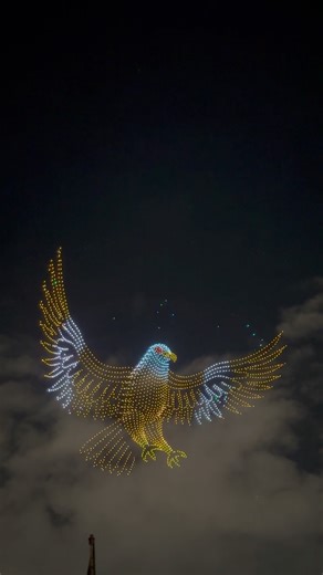 Drone Show | Mysore Dasara #shorts #mysore #mysuru