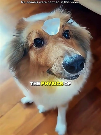 Their True Colors Came Out!