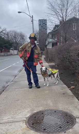 Toronto Firefighter Interview with Dalmatian Dog | Fire Safety Rescue