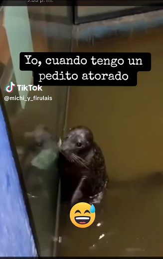 Cuando Tienes un Pedito Atrapado | Humor y Comedia