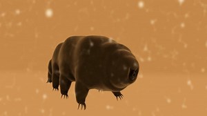 Microscopic, Biology, Animal