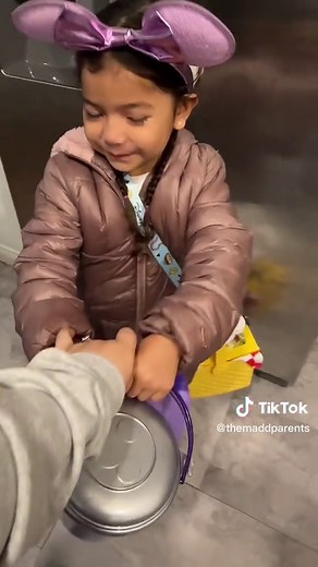 Ultimate Disney Family Picnic Basket Packing Tips