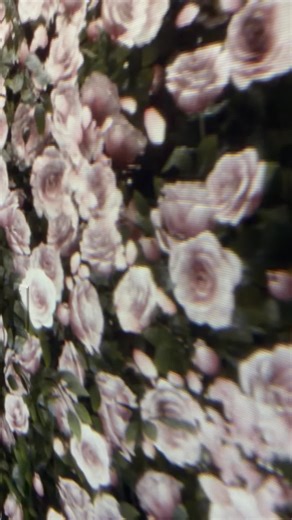 #lasvegas #illusion #arte #museum #flowers