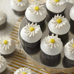 How to Pipe Buttercream Daisies and Buttercream Carnations | Wilton