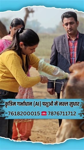 Top Artificial Insemination Training Institute | Best Dairy & Livestock Training | 100% Rojgar