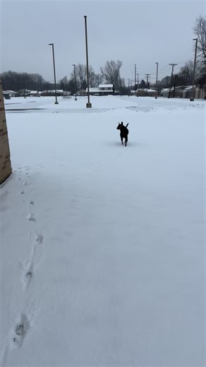 Thegilbs1999 (@thegilbs1981)’s videos with original sound - HBO