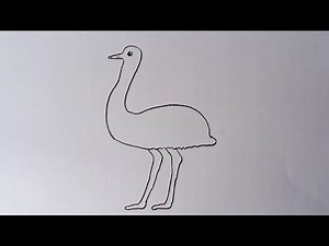 How To Draw Emu