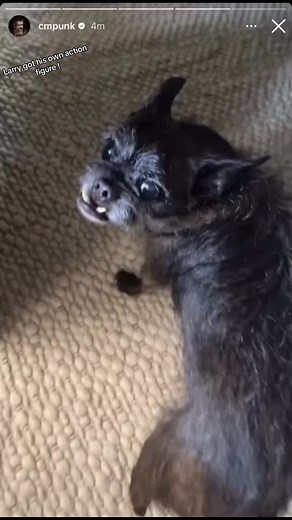 Larry CM Punk Action Figure | Wrestling Collectible Toy