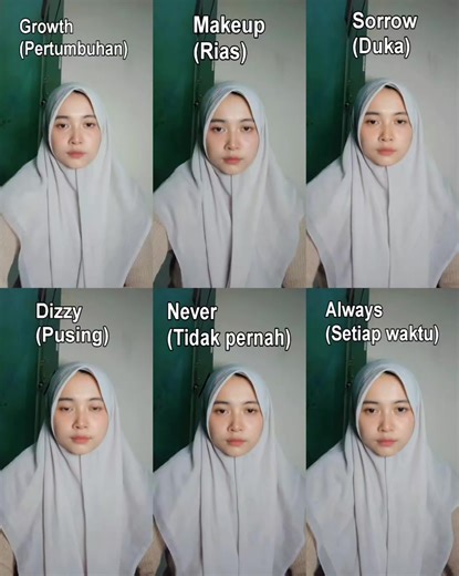 Learn Sign Language for English Communication